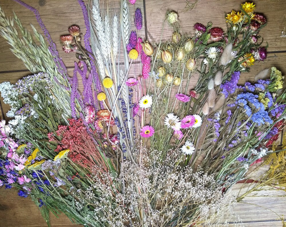 British dried flowers mega boxes