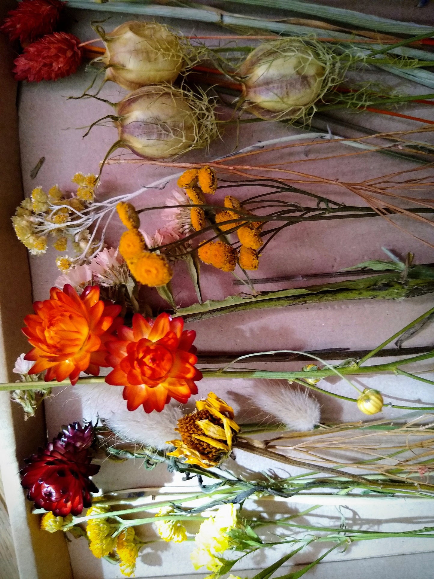 Autumnal British dried flower box, 30-300 stems, rustic, dried flower craft box, red, yellow, orange, DIY Autumn wreath flowers, materials