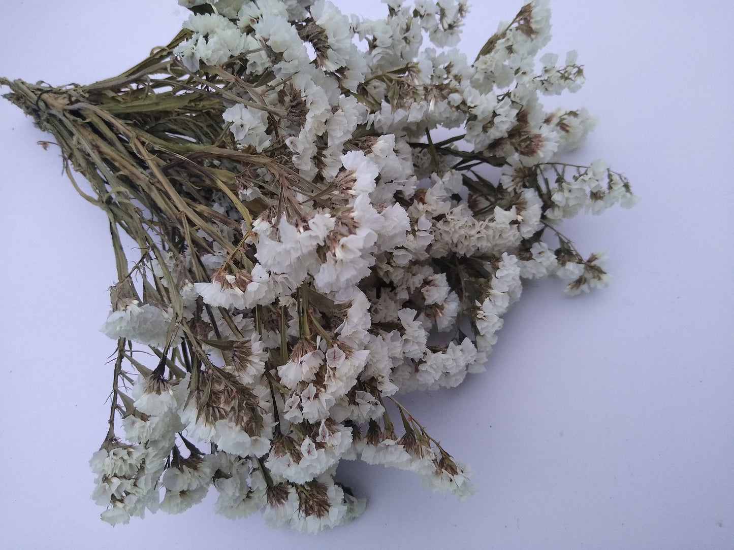 White UK statice bunch, 25 stems dried flower direct UK farm, home decor, bouquets, white neutral dried flowers, DIY wedding flowers, vase