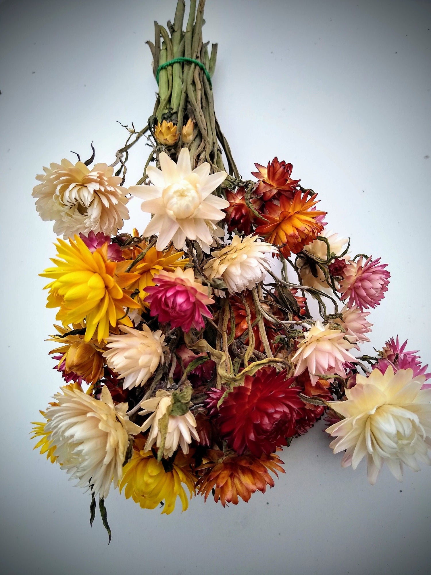 Dried Flower Bunches