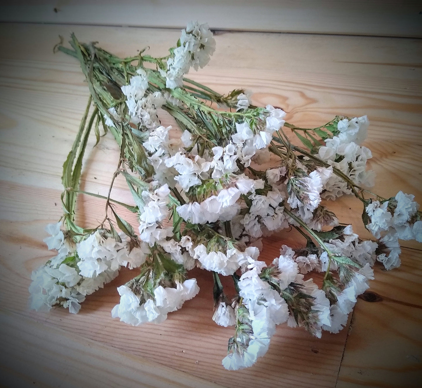 White UK statice bunch, 25 stems dried flower direct UK farm, home decor, bouquets, white neutral dried flowers, DIY wedding flowers, vase
