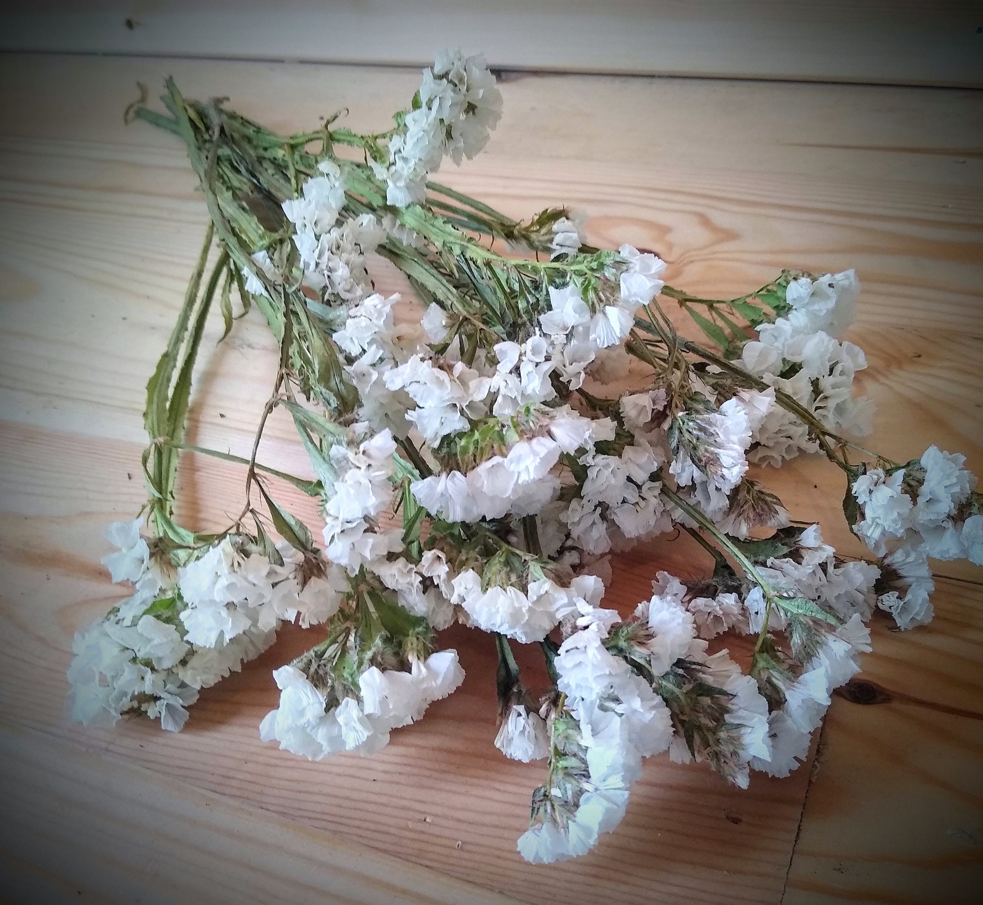 White UK statice bunch, 25 stems dried flower direct UK farm, home decor, bouquets, white neutral dried flowers, DIY wedding flowers, vase
