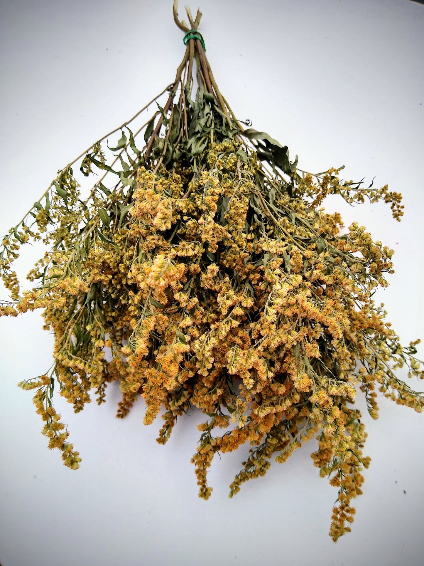Yellow solidago bunch, 20 stems, dried golden rod flowers, UK farm, home decor, bouquets, yellow dried flowers, DIY wedding flowers, wreaths