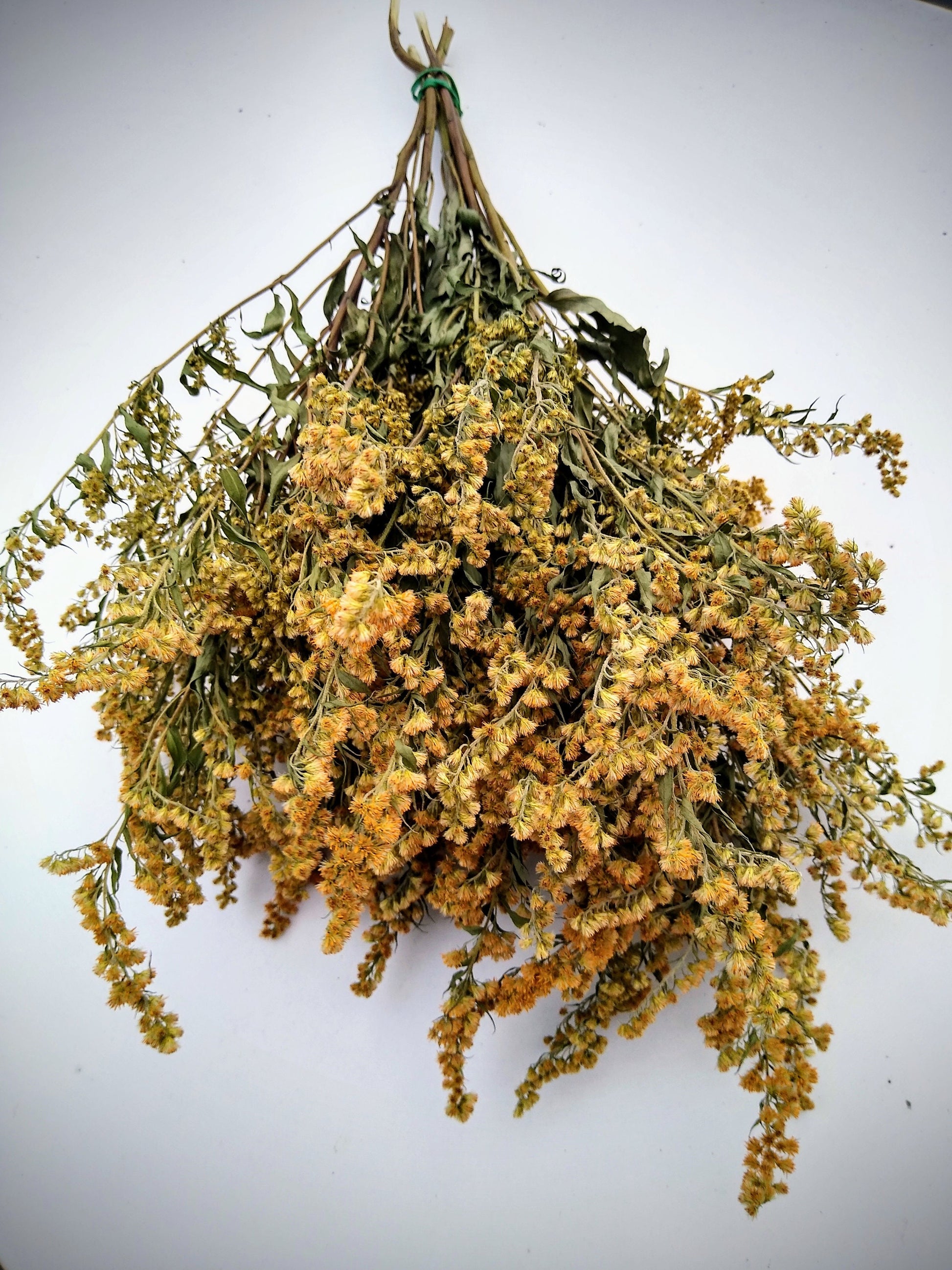 Yellow solidago bunch, 20 stems, dried golden rod flowers, UK farm, home decor, bouquets, yellow dried flowers, DIY wedding flowers, wreaths