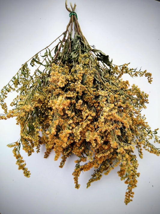 Yellow solidago bunch, 20 stems, dried golden rod flowers, UK farm, home decor, bouquets, yellow dried flowers, DIY wedding flowers, wreaths