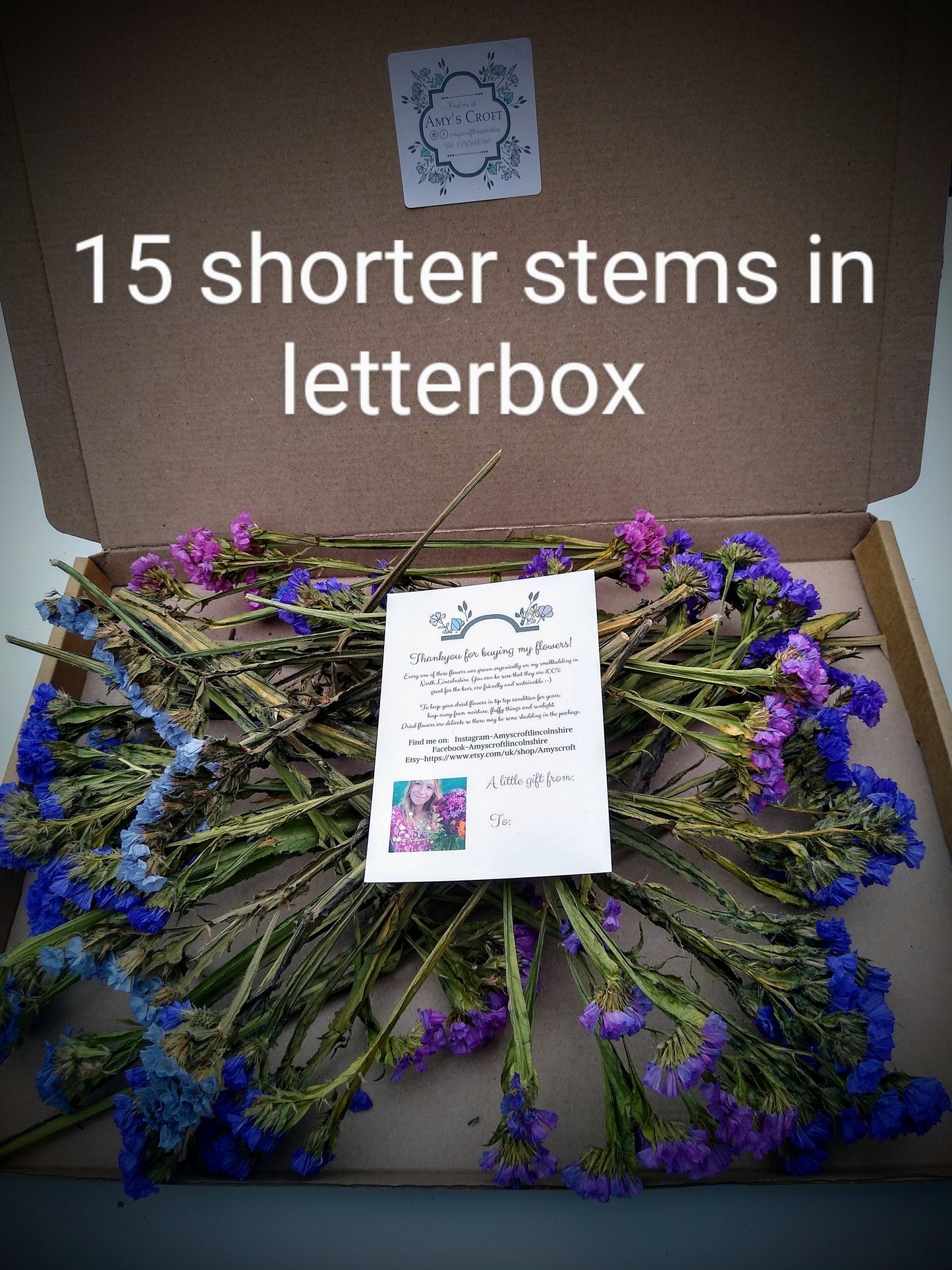 UK Purple statice bunch 25 stems, dried flower bunches, British home decor, bouquets, purple & blue dried flowers, DIY wedding flowers