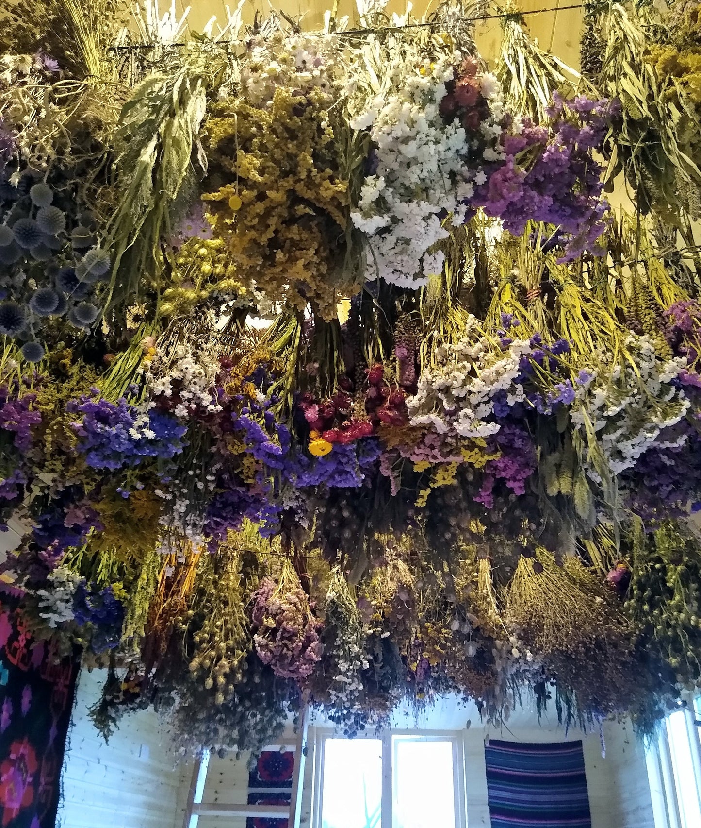 UK Purple statice bunch 25 stems, dried flower bunches, British home decor, bouquets, purple & blue dried flowers, DIY wedding flowers