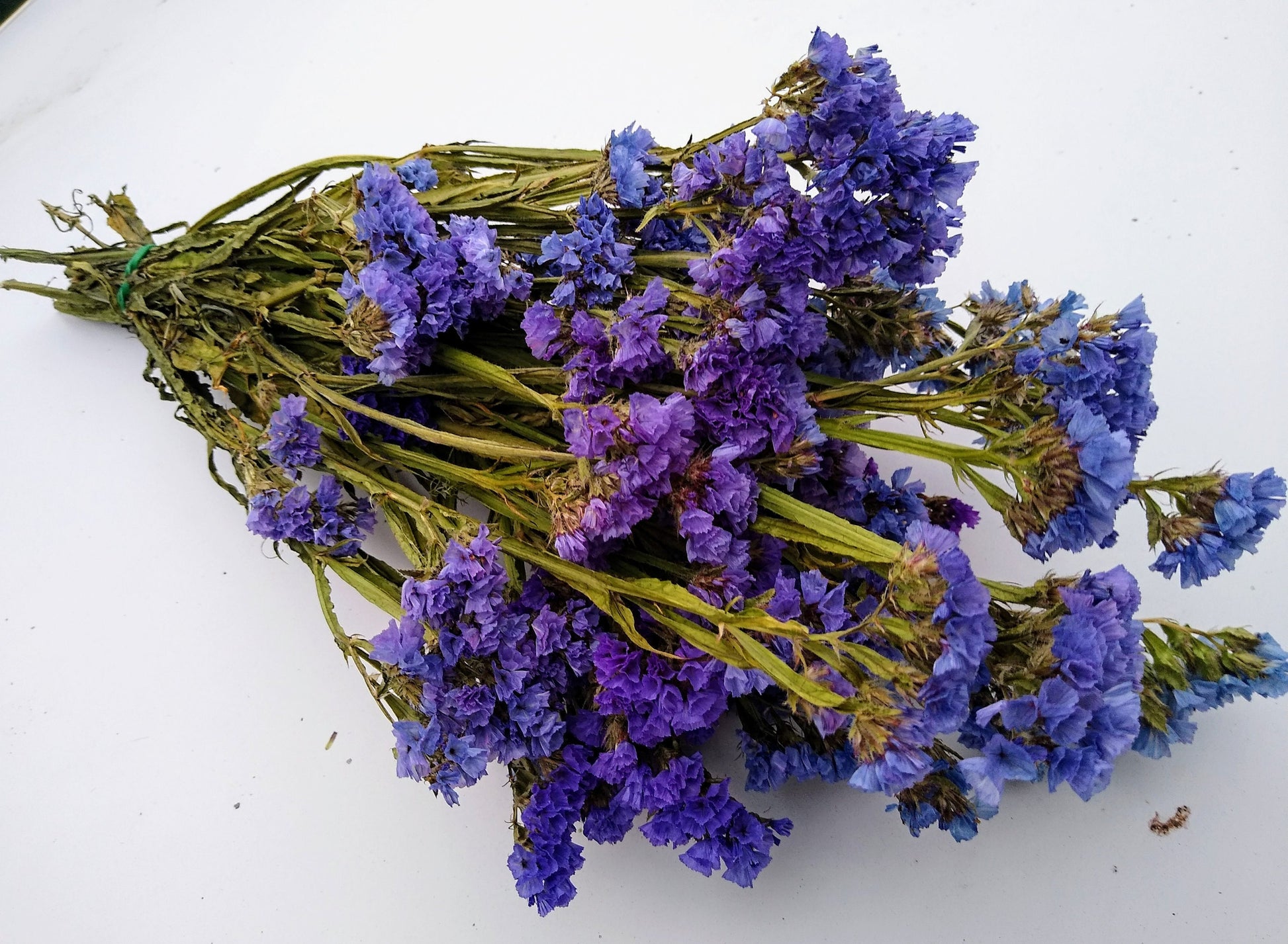 UK Purple statice bunch 25 stems, dried flower bunches, British home decor, bouquets, purple & blue dried flowers, DIY wedding flowers