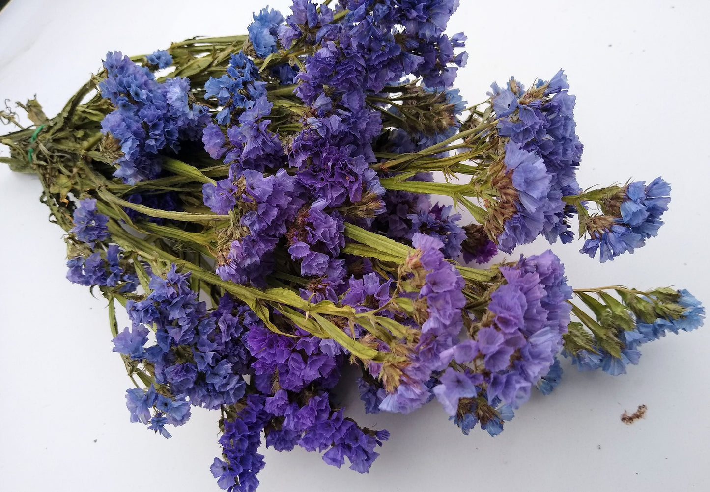 UK Purple statice bunch 25 stems, dried flower bunches, British home decor, bouquets, purple & blue dried flowers, DIY wedding flowers