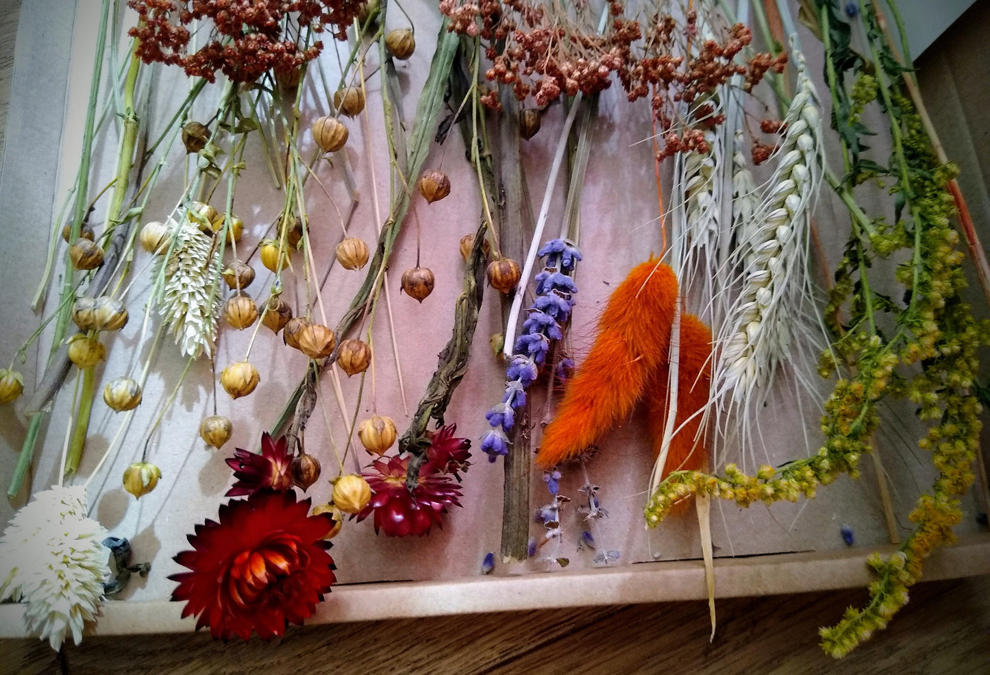 Autumnal British dried flower box, 30-300 stems, rustic, dried flower craft box, red, yellow, orange, DIY Autumn wreath flowers, materials