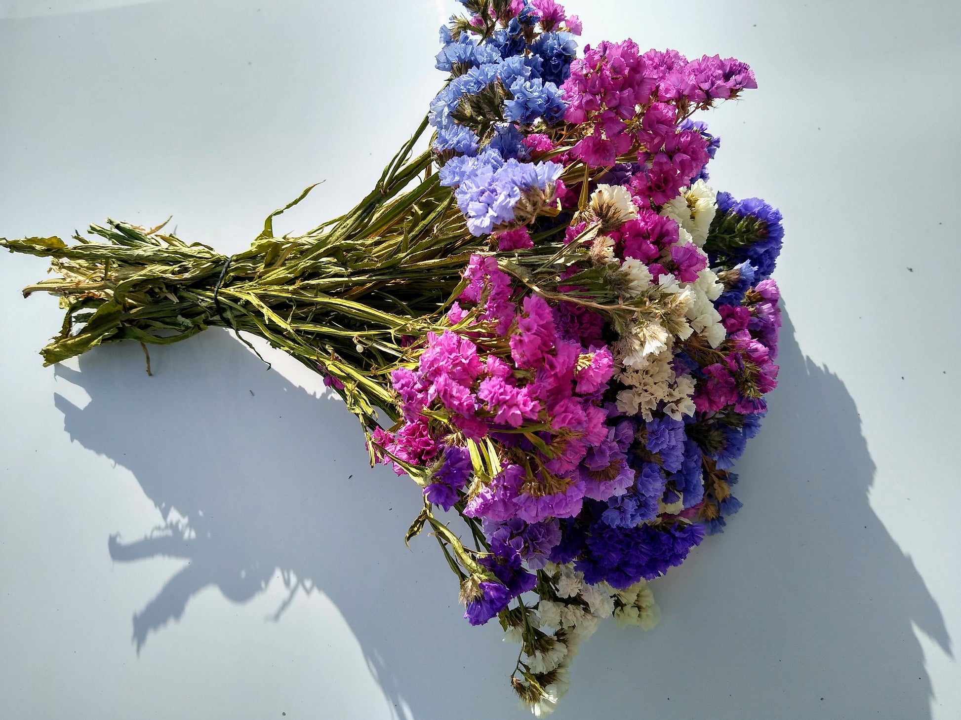 British Purple pink white statice bunch, dried flower 30 stems from UK farm, wreaths, dried flowers bouquet, DIY wedding flowers, limonium