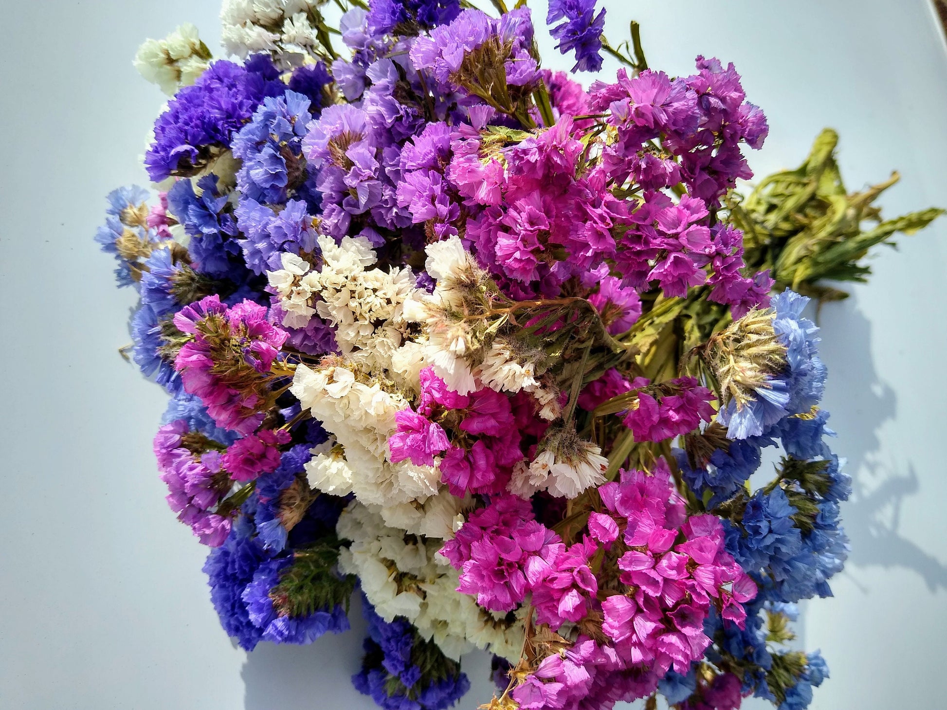 British Purple pink white statice bunch, dried flower 30 stems from UK farm, wreaths, dried flowers bouquet, DIY wedding flowers, limonium