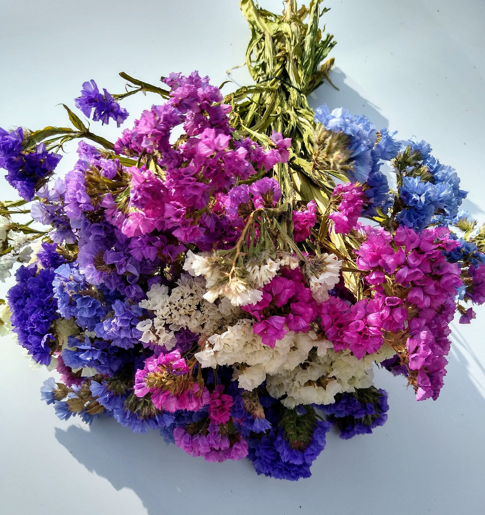 British Purple pink white statice bunch, dried flower 30 stems from UK farm, wreaths, dried flowers bouquet, DIY wedding flowers, limonium