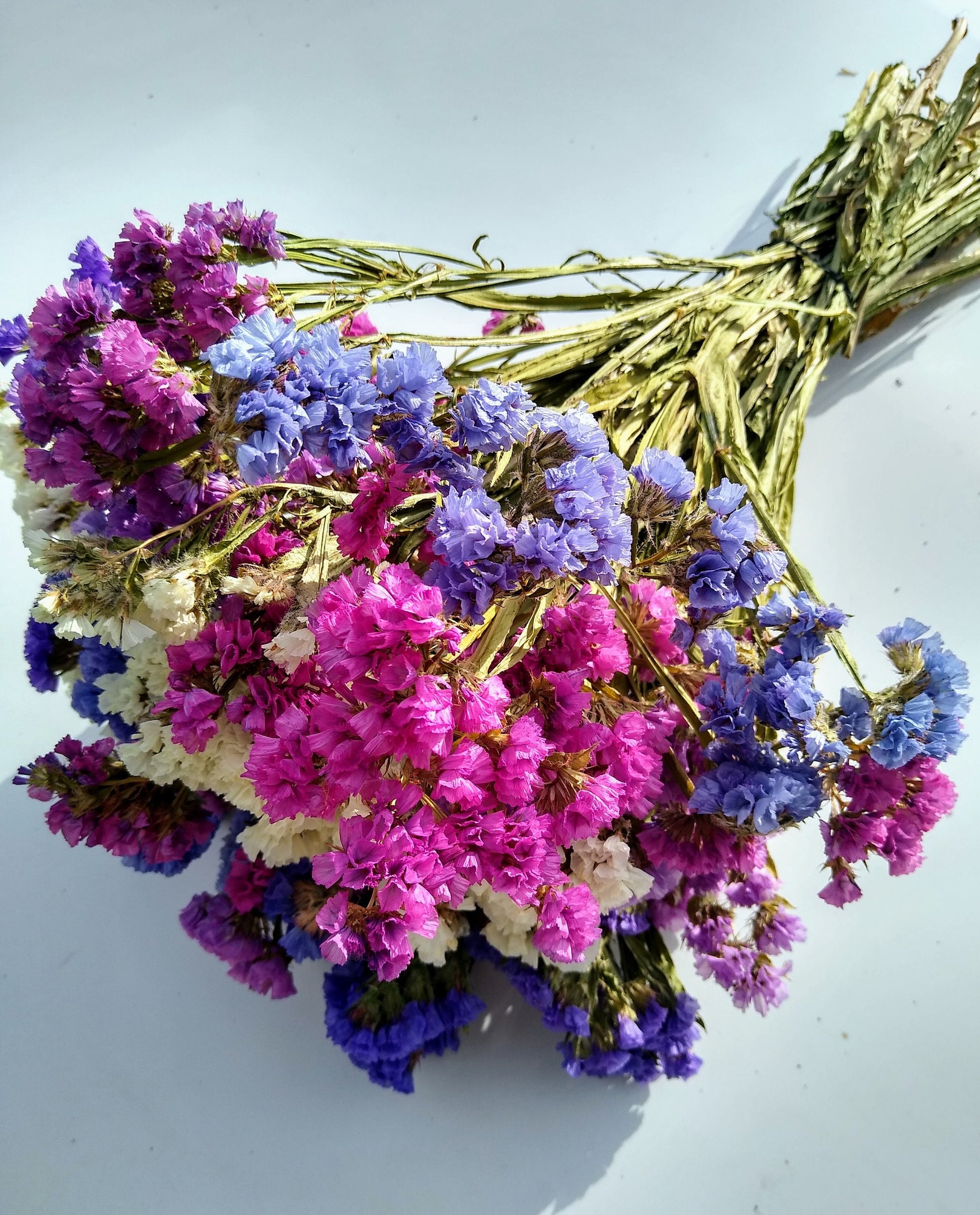 British Purple pink white statice bunch, dried flower 30 stems from UK farm, wreaths, dried flowers bouquet, DIY wedding flowers, limonium