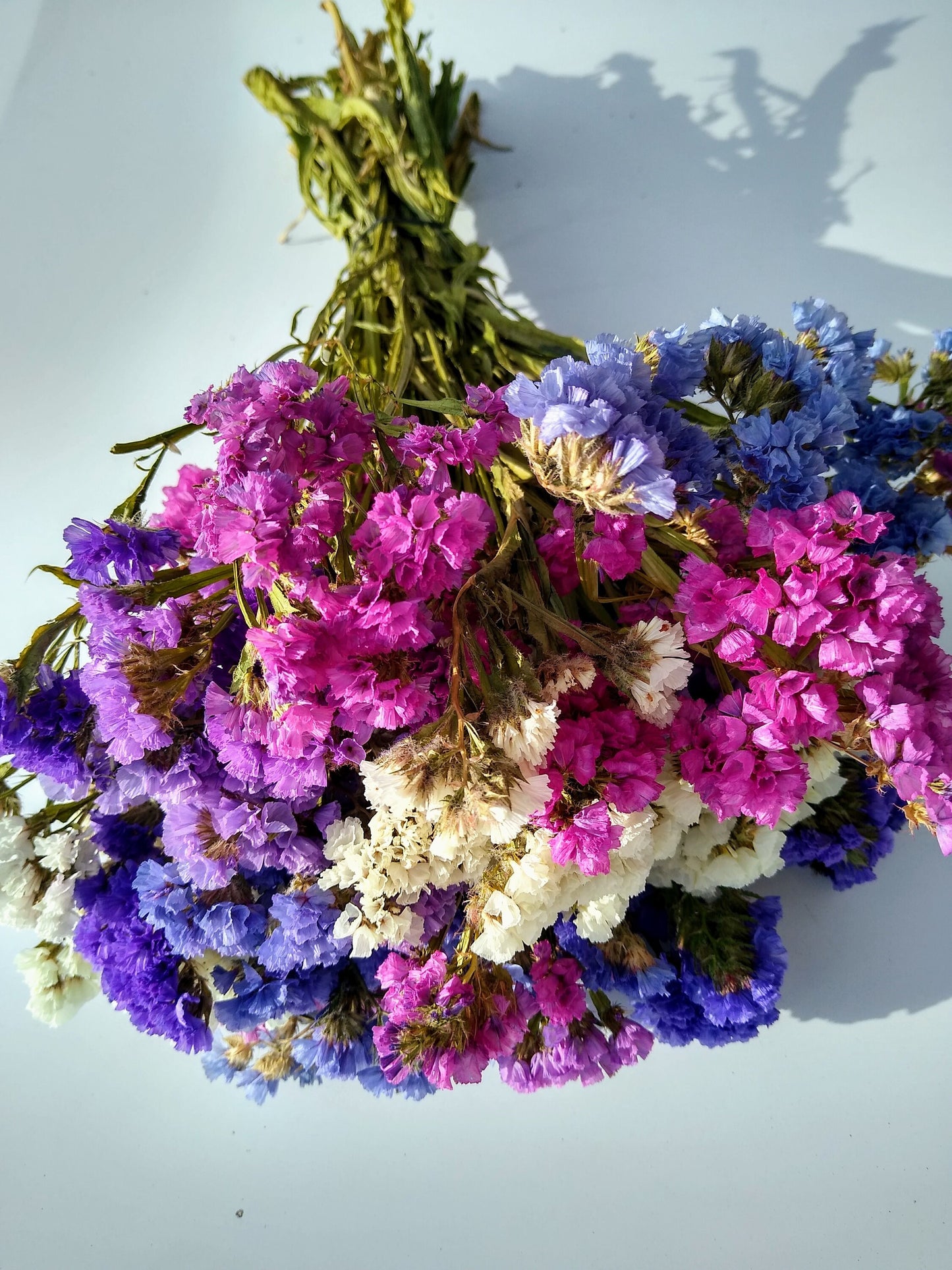 British Purple pink white statice bunch, dried flower 30 stems from UK farm, wreaths, dried flowers bouquet, DIY wedding flowers, limonium