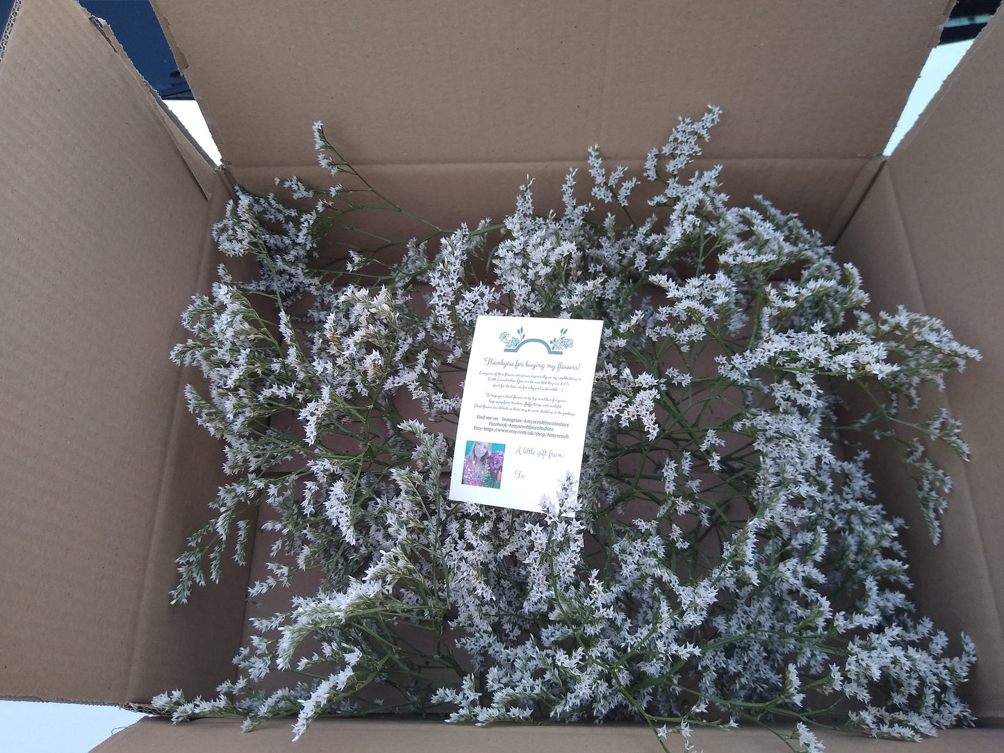 British Dried German statice, tartarica statice, sea spray limonium large bunch, organic, UK dried flowers, wreaths, crafts, wholesale price