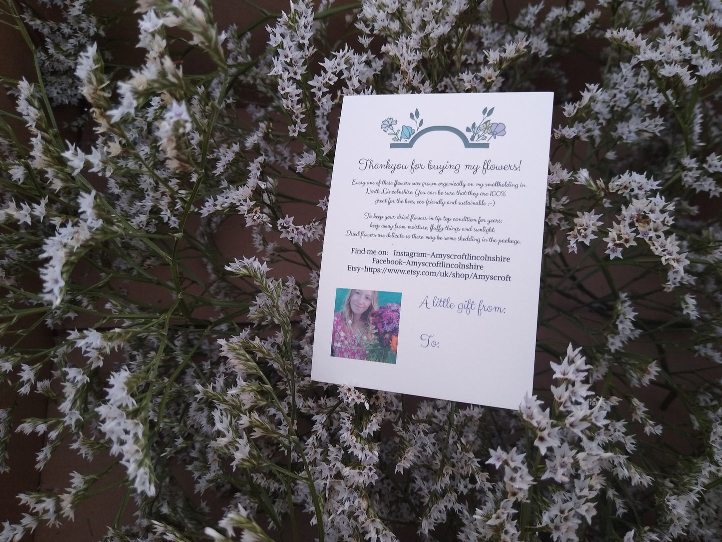 British Dried German statice, tartarica statice, sea spray limonium large bunch, organic, UK dried flowers, wreaths, crafts, wholesale price