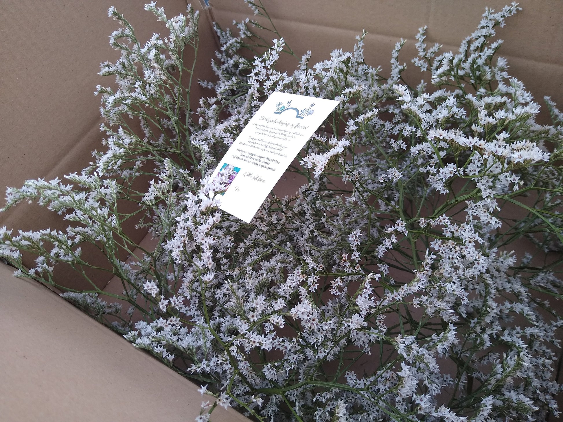British Dried German statice, tartarica statice, sea spray limonium large bunch, organic, UK dried flowers, wreaths, crafts, wholesale price