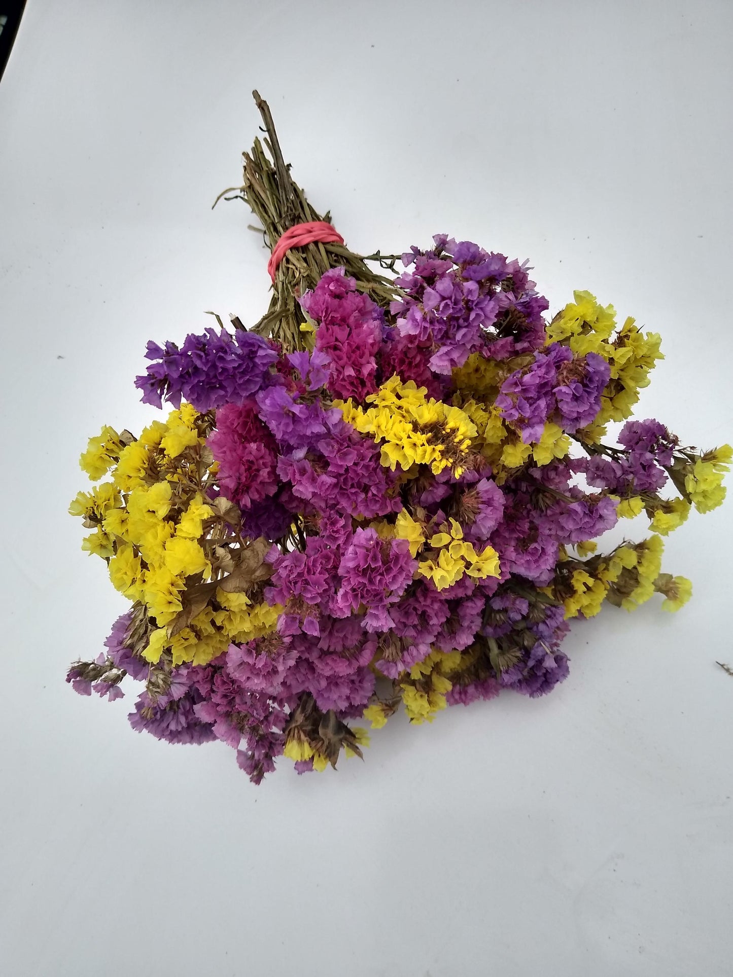 British dried limonium. Bright yellow & cerise, statice bunch, 30 stems from UK farm, wreaths, dried flowers bouquet, DIY wedding flowe