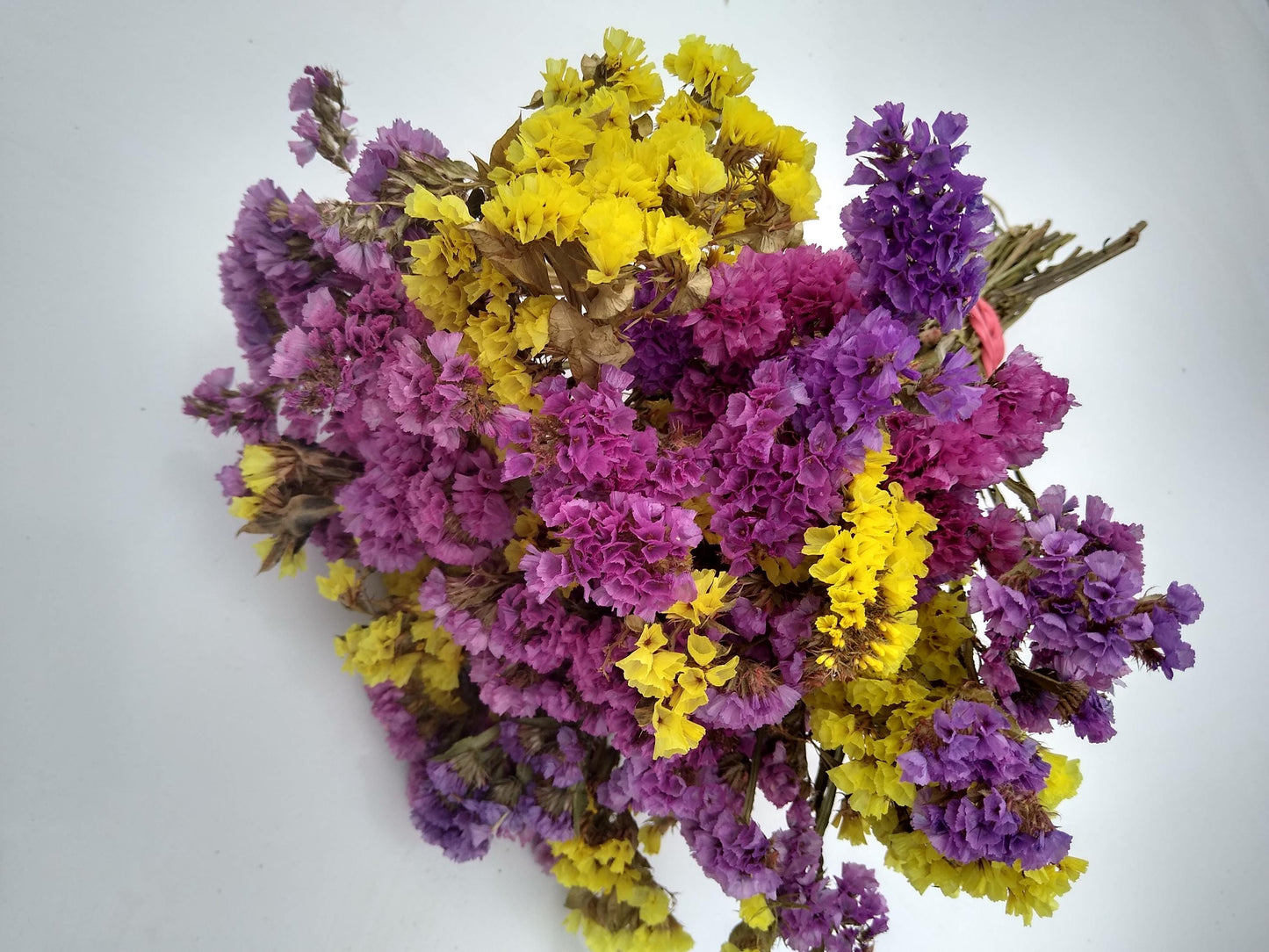 British dried limonium. Bright yellow & cerise, statice bunch, 30 stems from UK farm, wreaths, dried flowers bouquet, DIY wedding flowe