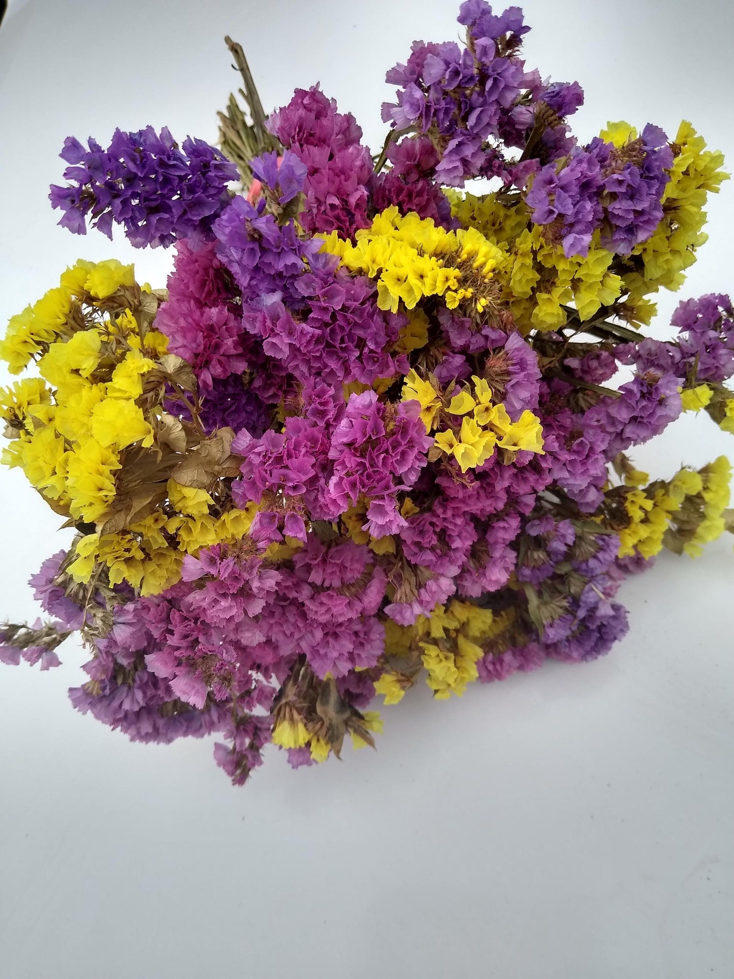 British dried limonium. Bright yellow & cerise, statice bunch, 30 stems from UK farm, wreaths, dried flowers bouquet, DIY wedding flowe