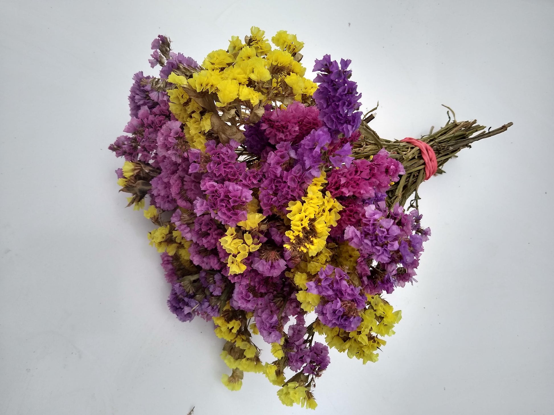 British dried limonium. Bright yellow & cerise, statice bunch, 30 stems from UK farm, wreaths, dried flowers bouquet, DIY wedding flowe