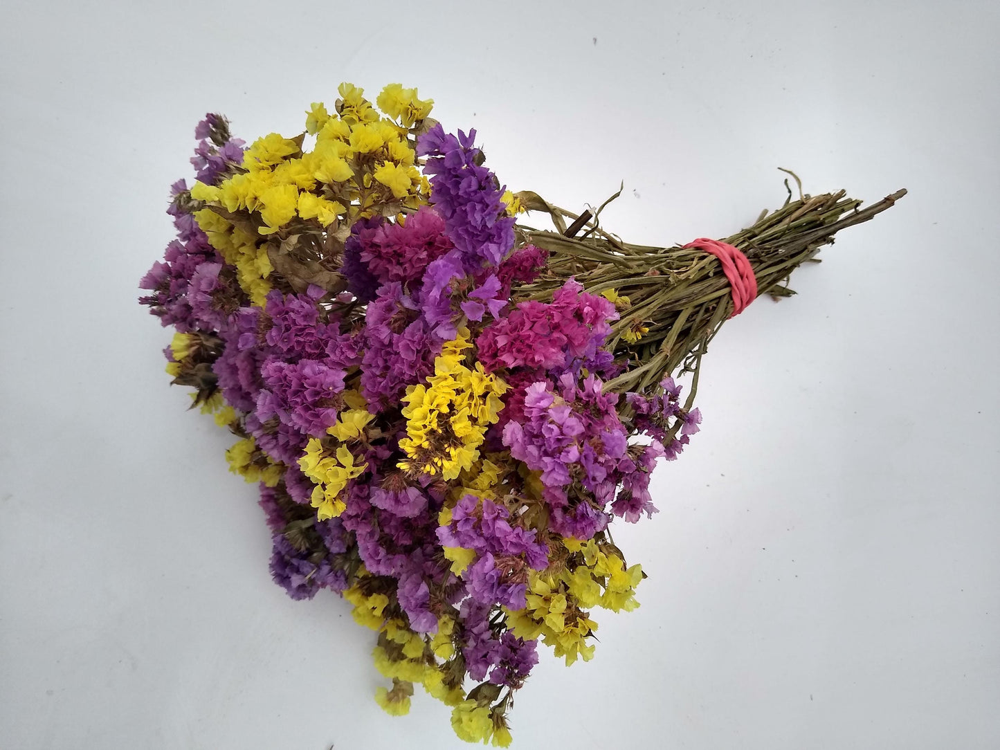 British dried limonium. Bright yellow & cerise, statice bunch, 30 stems from UK farm, wreaths, dried flowers bouquet, DIY wedding flowe