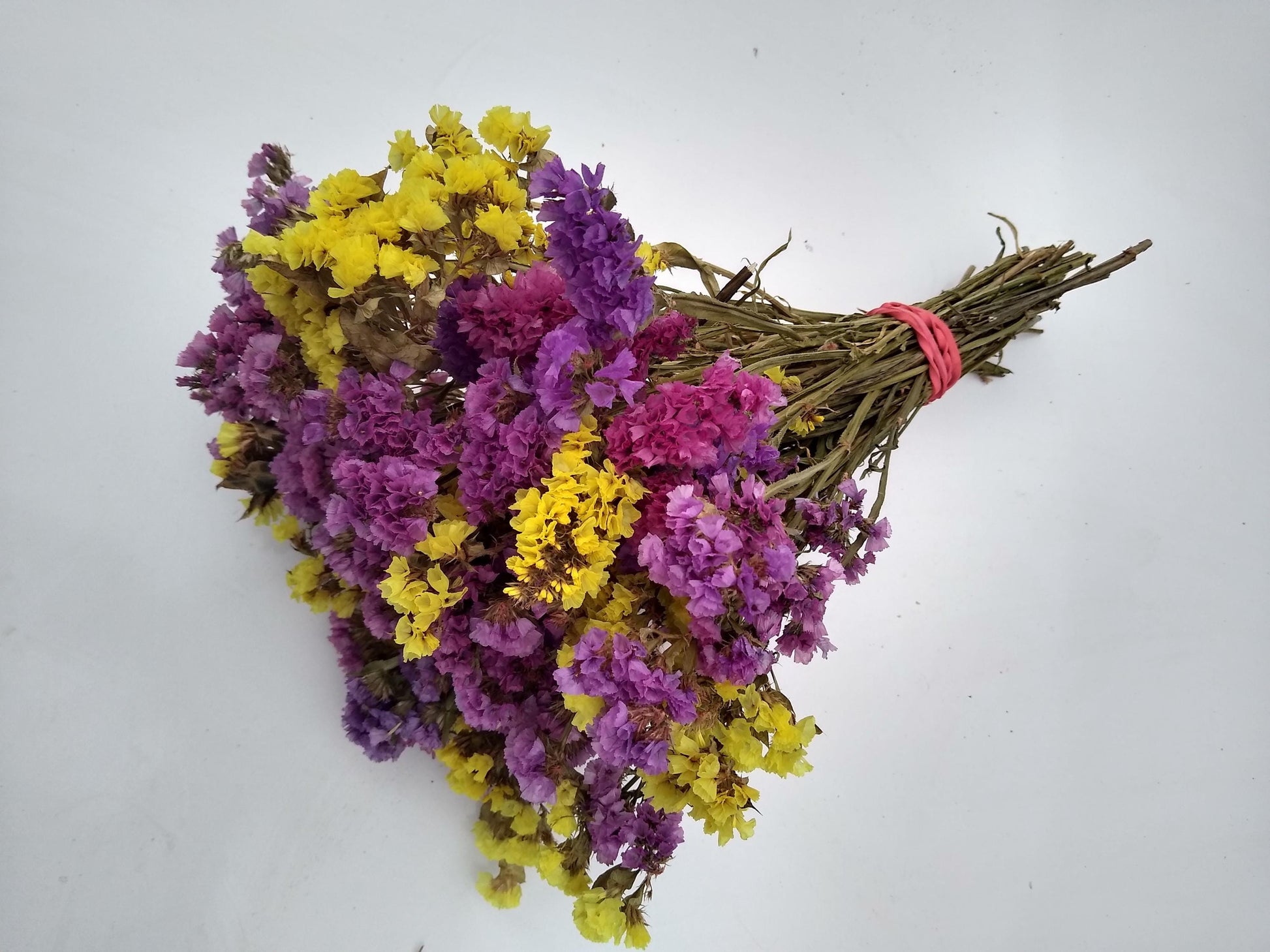British dried limonium. Bright yellow & cerise, statice bunch, 30 stems from UK farm, wreaths, dried flowers bouquet, DIY wedding flowe