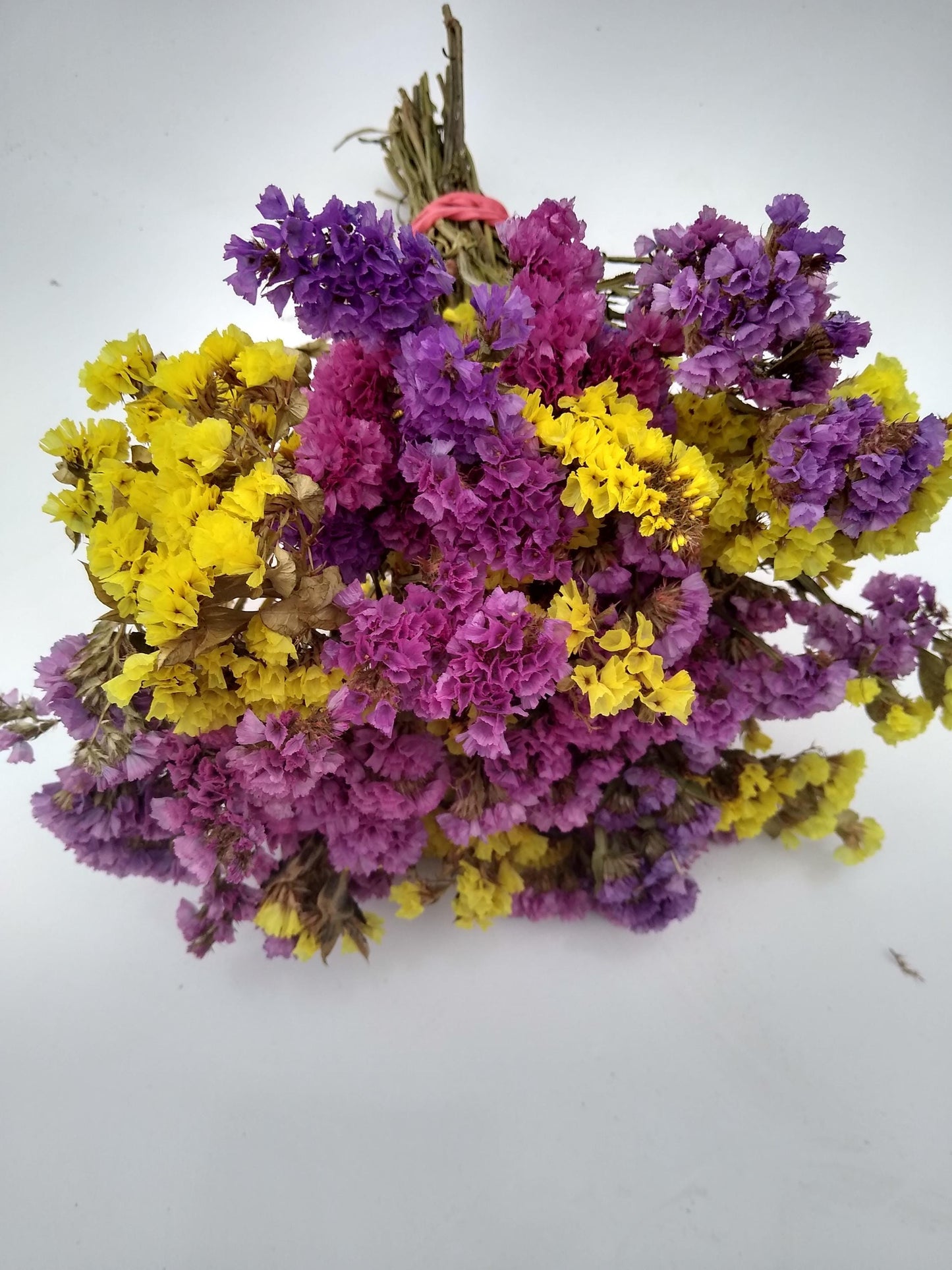 British dried limonium. Bright yellow & cerise, statice bunch, 30 stems from UK farm, wreaths, dried flowers bouquet, DIY wedding flowe