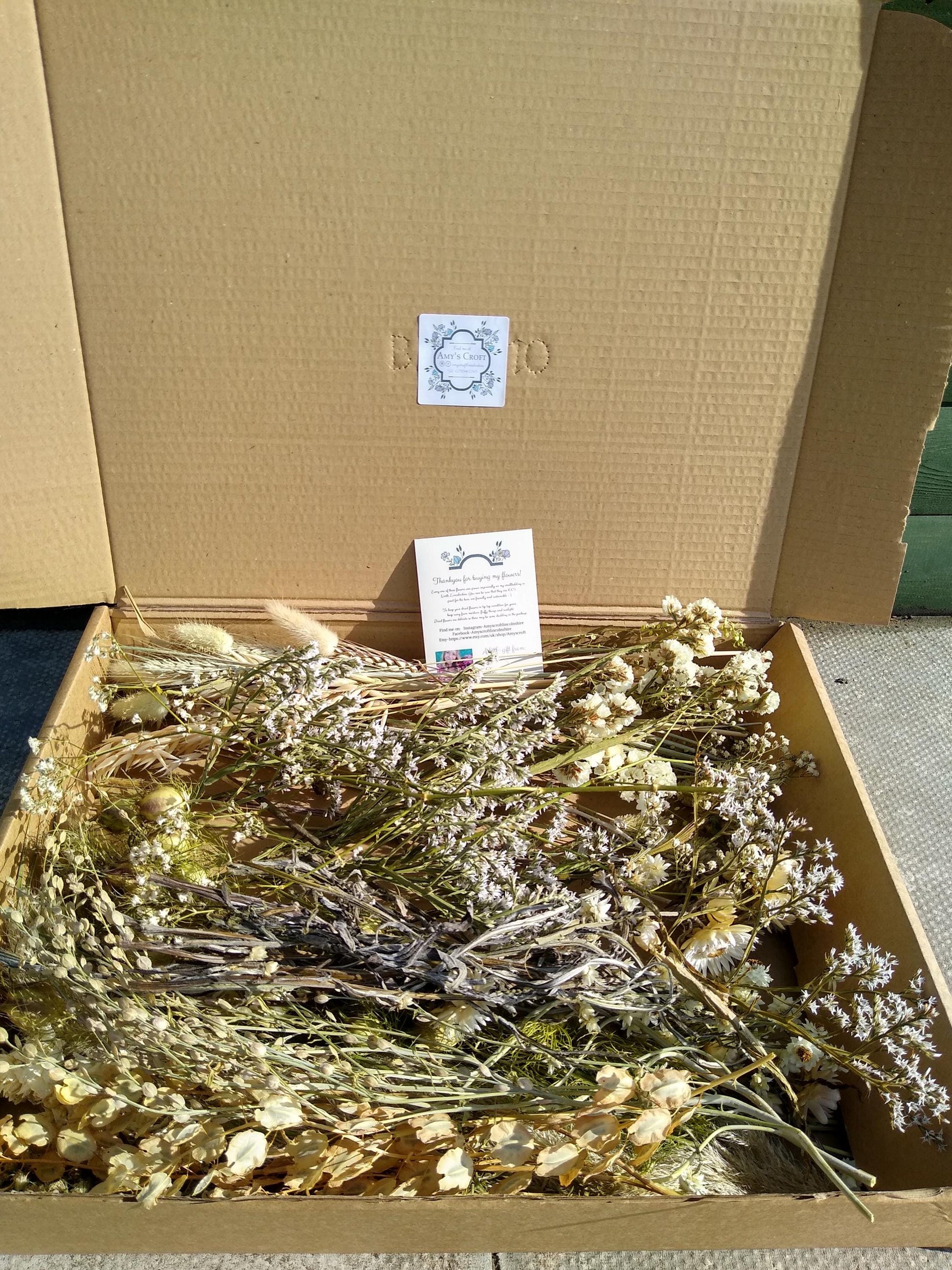 White & neutrals British dried flowers. 40-300 stems, gift, DIY flowers, bouquet. Craft box, UK farm, wedding flowers, dried flowers, bulk