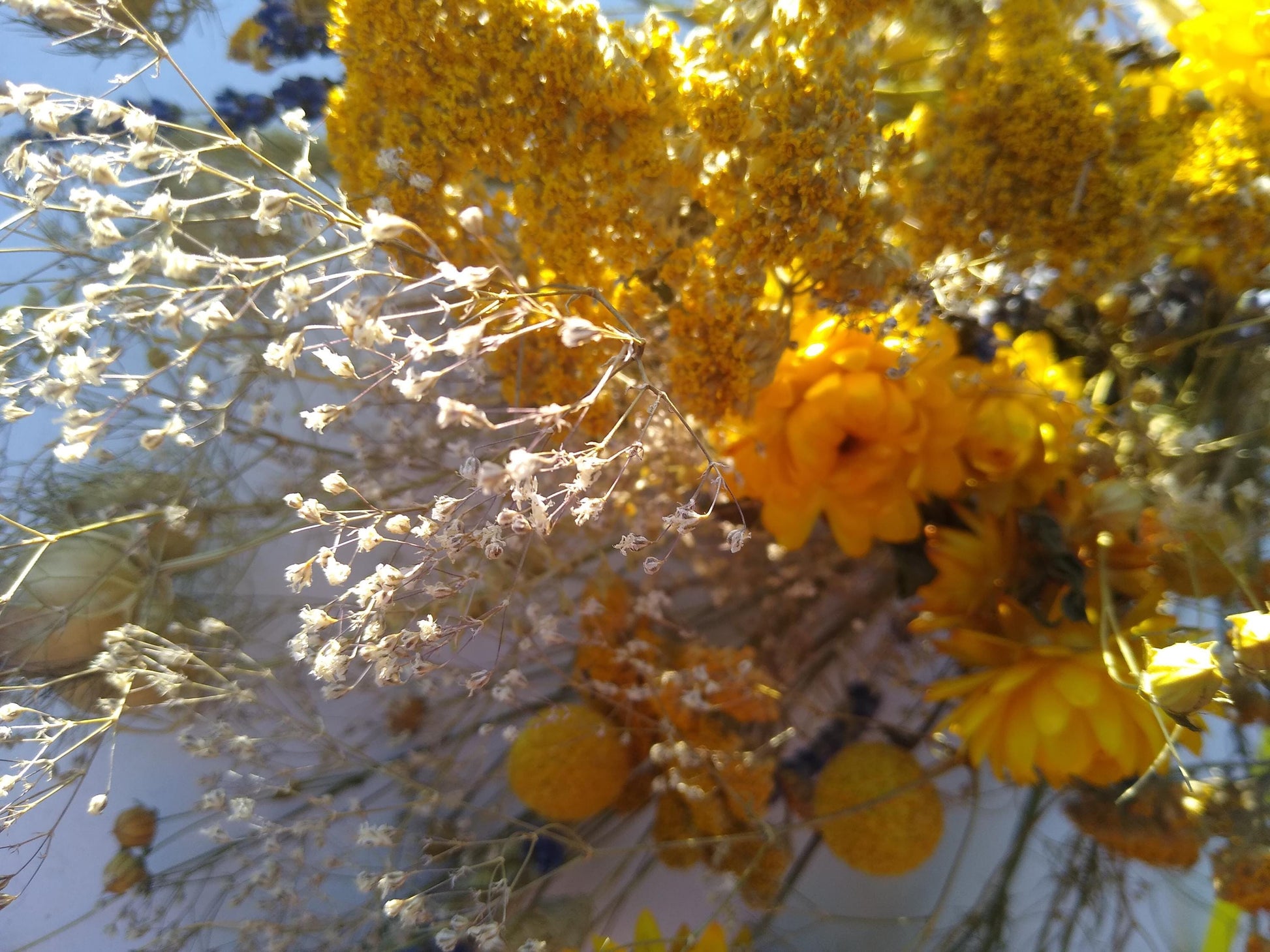 British yellow Dried Flower Bouquet- wildflowers - Present- Gift for Her- Birthday- Mothers Day- UK farm- organic- Wedding- bouquet-