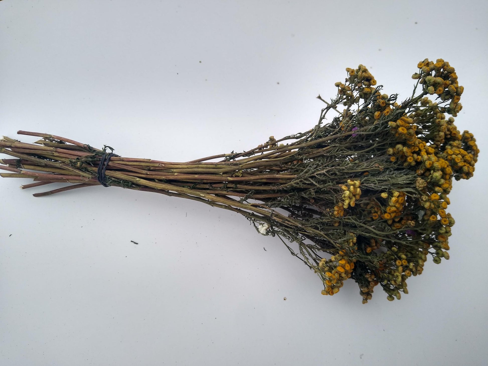 Yellow dried organic tansy bunch, 20 stems, dried yellow flowers, UK farm, home decor, bouquets, wreaths, DIY wedding flowers, tanacetum