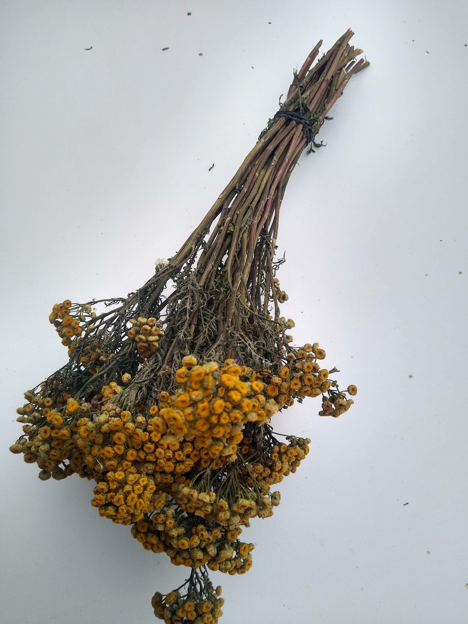 Yellow dried organic tansy bunch, 20 stems, dried yellow flowers, UK farm, home decor, bouquets, wreaths, DIY wedding flowers, tanacetum