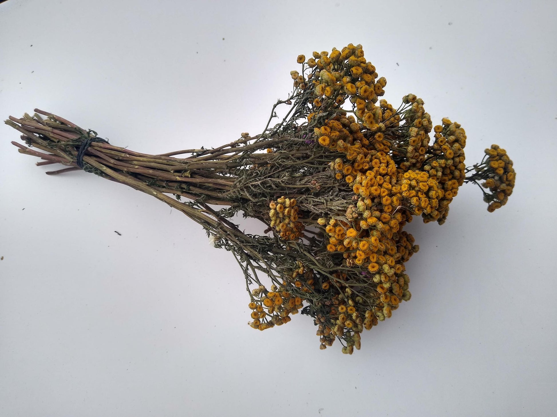 Yellow dried organic tansy bunch, 20 stems, dried yellow flowers, UK farm, home decor, bouquets, wreaths, DIY wedding flowers, tanacetum