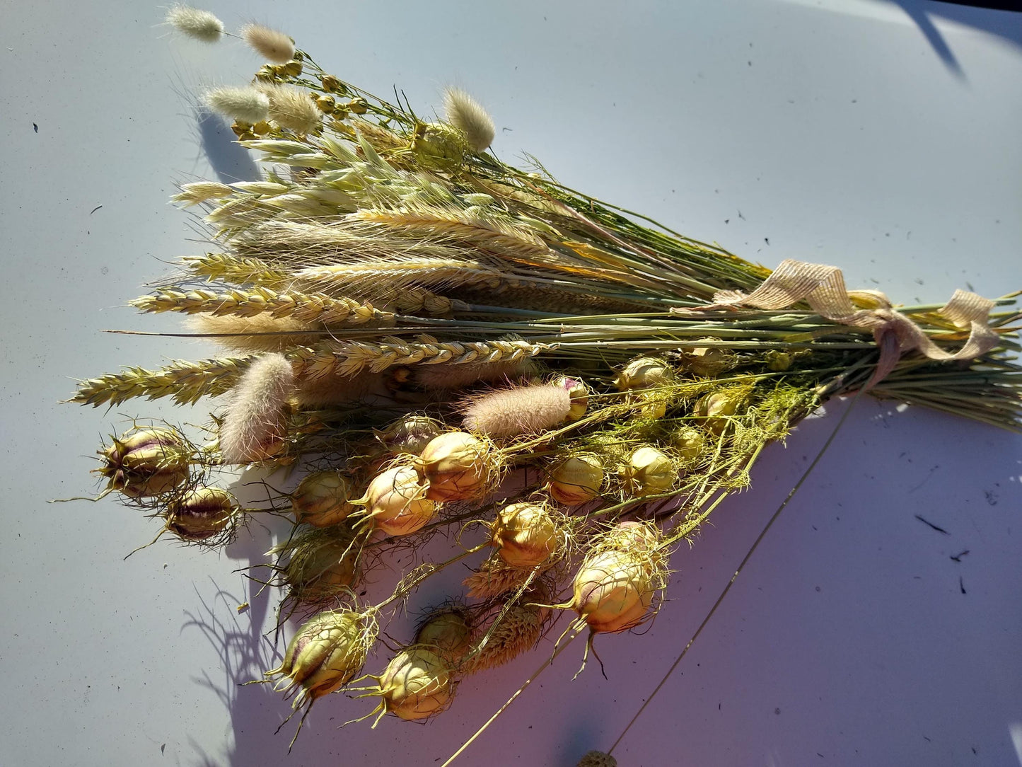 British dried neutral bouquet, green neutral dried flowerd, 80 stem bunches, bulk, wedding, dried grasses, filler, foliage, neutral decor