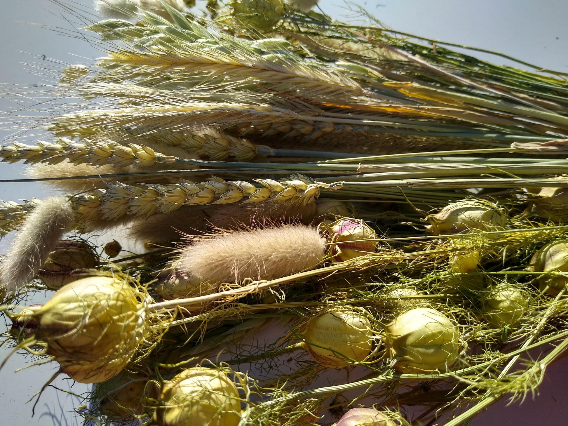British dried neutral bouquet, green neutral dried flowerd, 80 stem bunches, bulk, wedding, dried grasses, filler, foliage, neutral decor