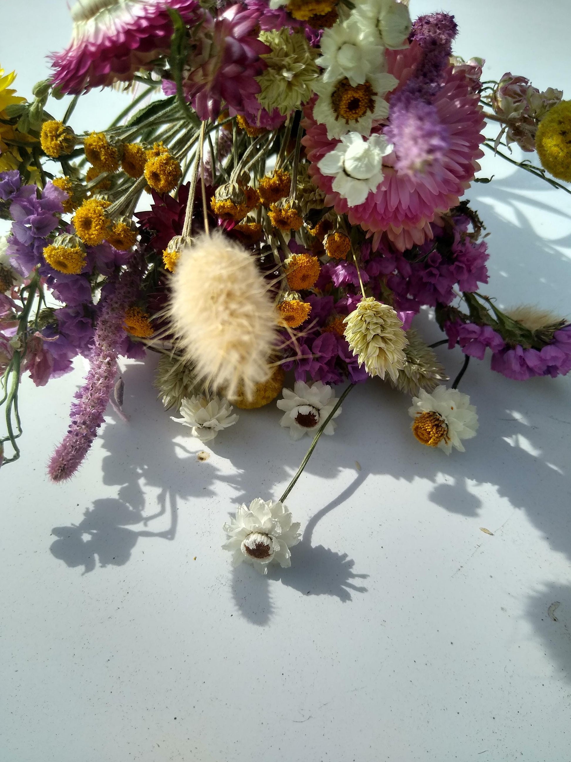 British Organic Dried Flower Bouquet - Daisy -Summer -Posy- Gift for Her- Birthday -Pastel -Mothers Day -Get Well Soon -Wedding Bouquet