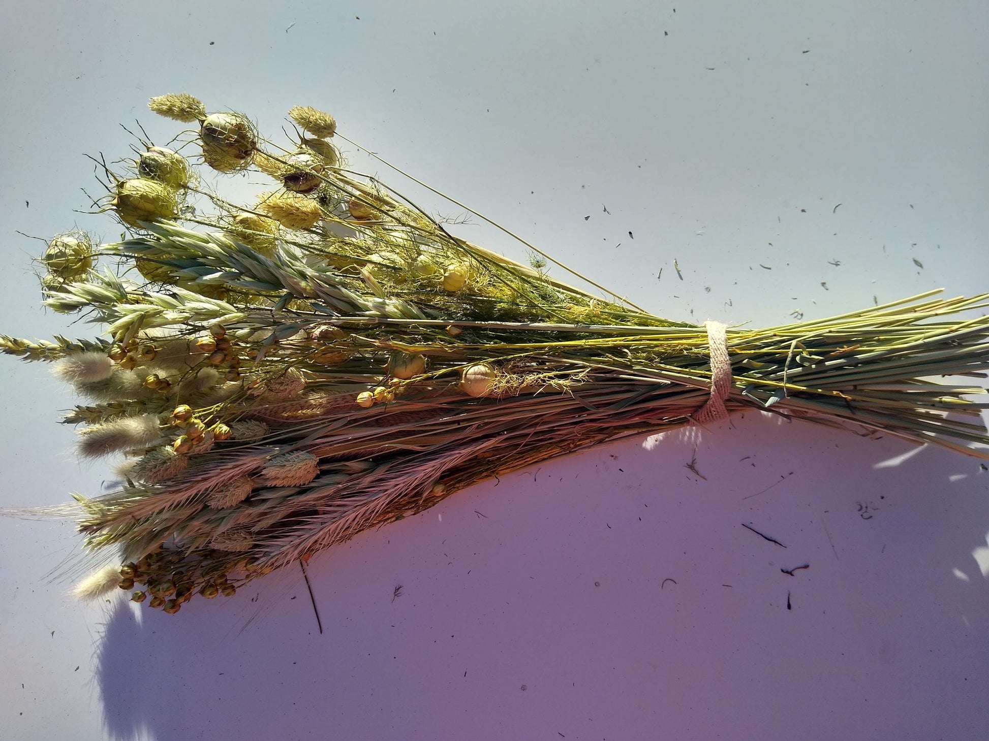 British dried neutral bouquet, green neutral dried flowerd, 80 stem bunches, bulk, wedding, dried grasses, filler, foliage, neutral decor