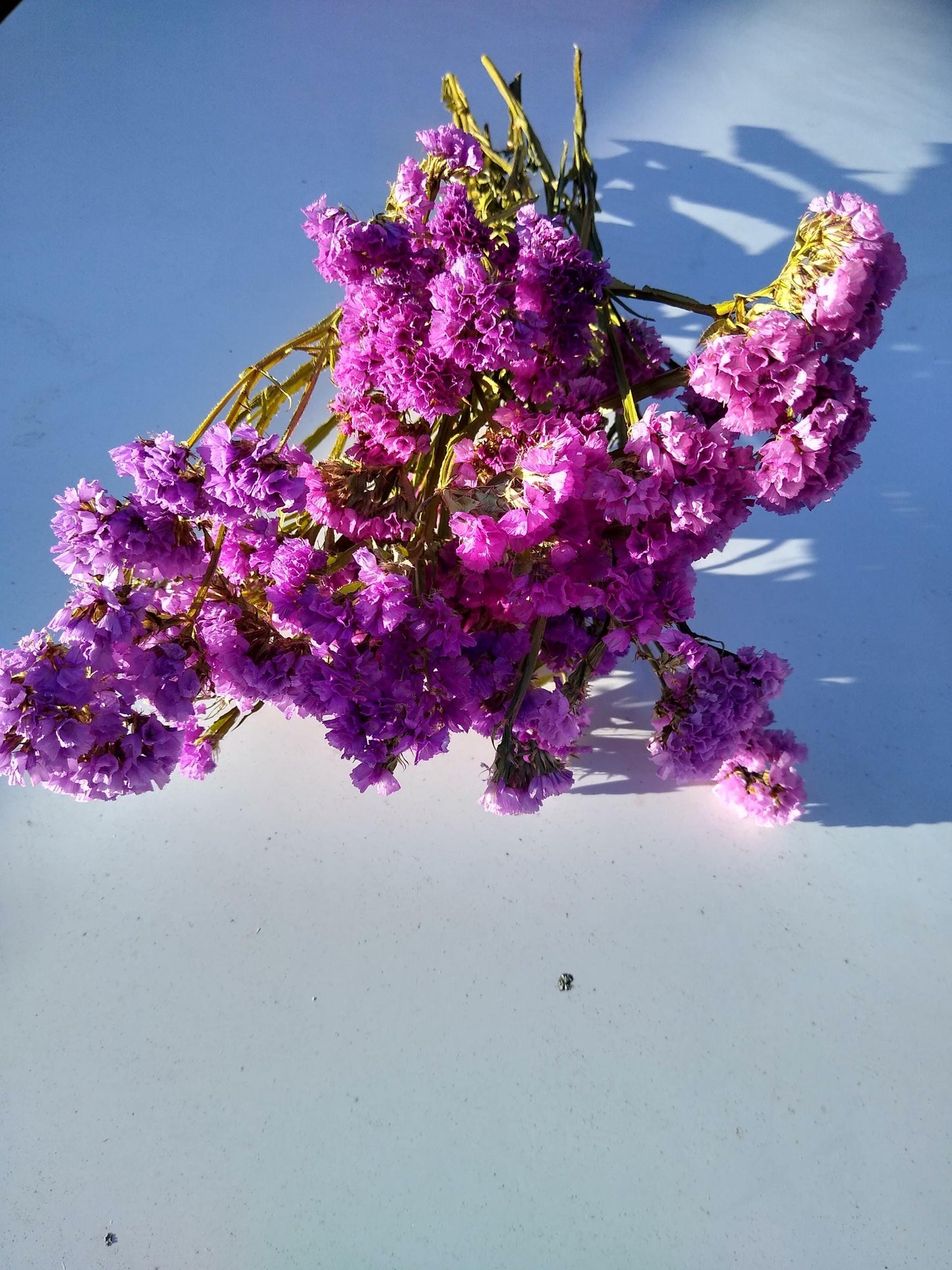 UK cerise pink statice bunch 25 stems, dried flower bunches, British home decor, bouquets,cerise pink dried flowers, DIY wedding flowers