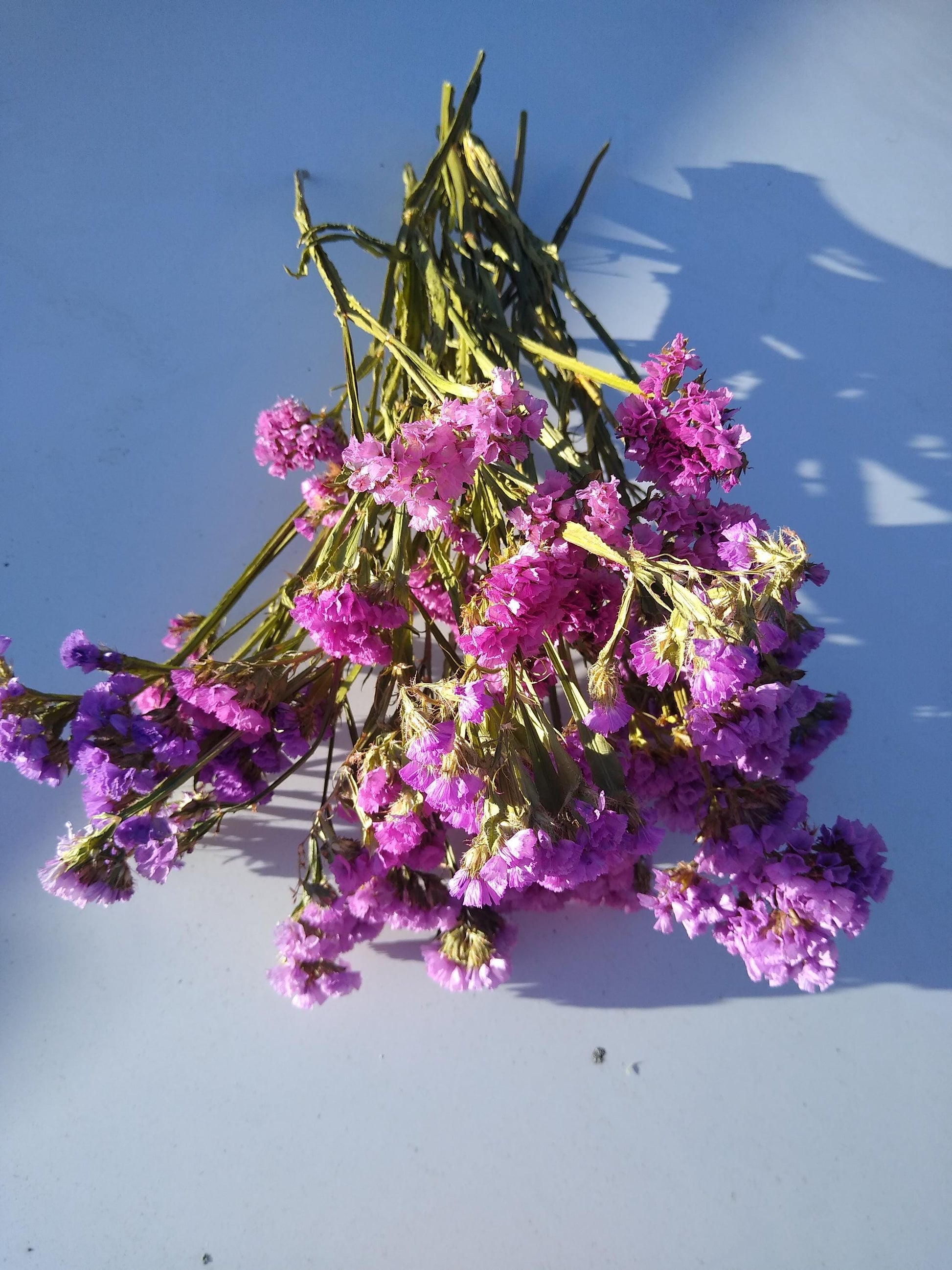 UK cerise pink statice bunch 25 stems, dried flower bunches, British home decor, bouquets,cerise pink dried flowers, DIY wedding flowers