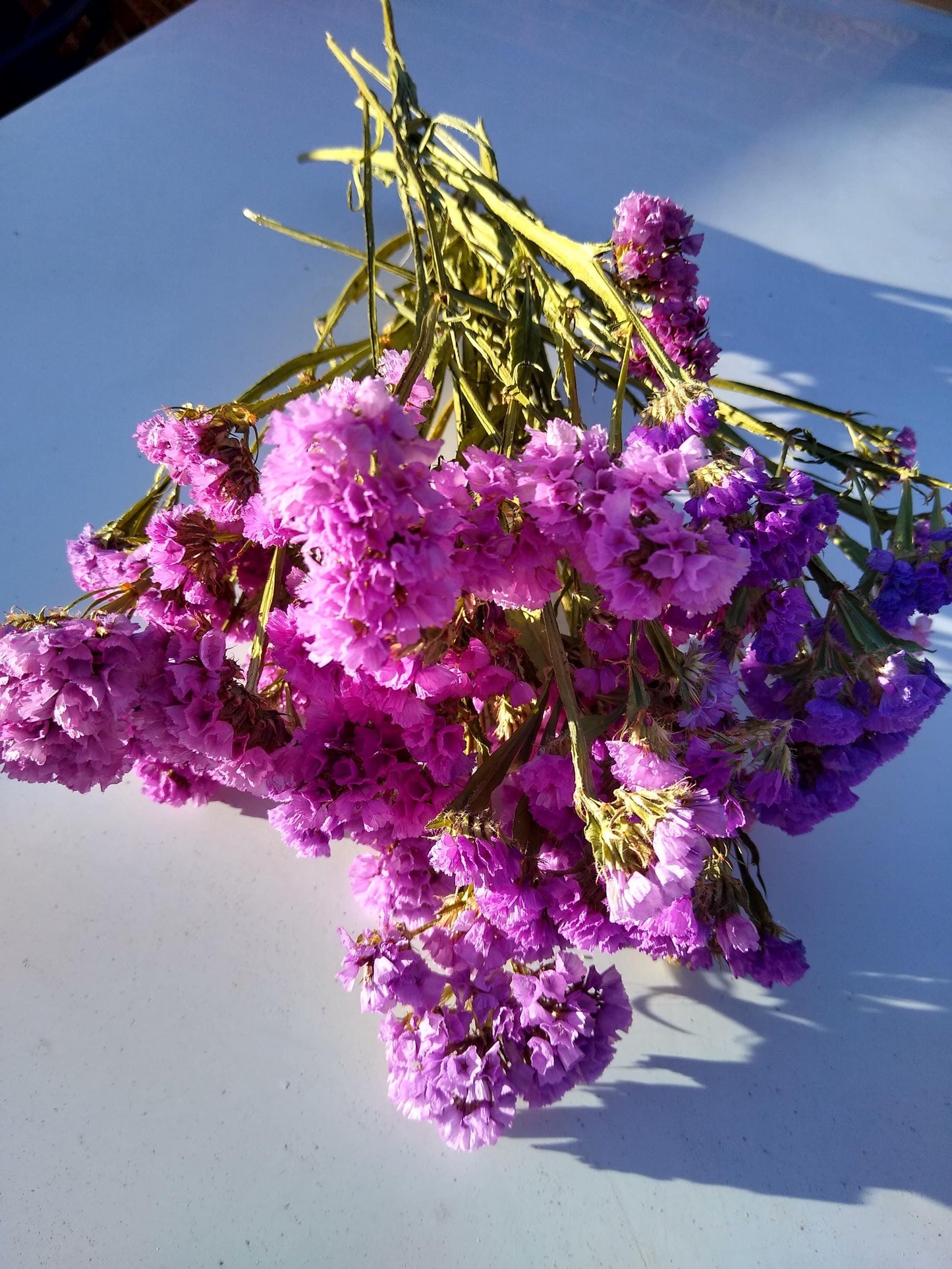 UK cerise pink statice bunch 25 stems, dried flower bunches, British home decor, bouquets,cerise pink dried flowers, DIY wedding flowers