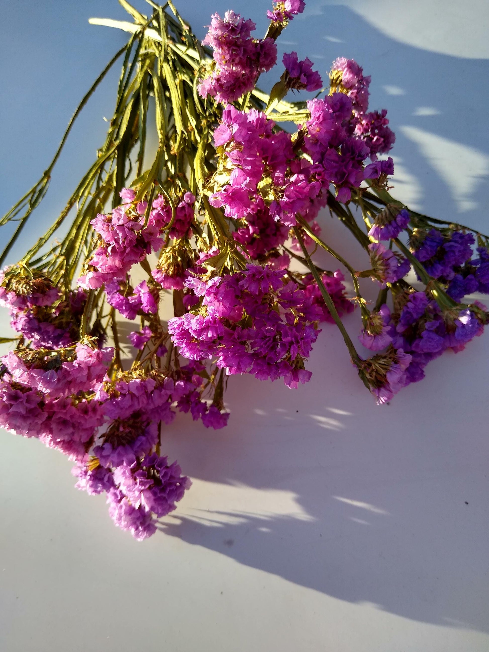 UK cerise pink statice bunch 25 stems, dried flower bunches, British home decor, bouquets,cerise pink dried flowers, DIY wedding flowers
