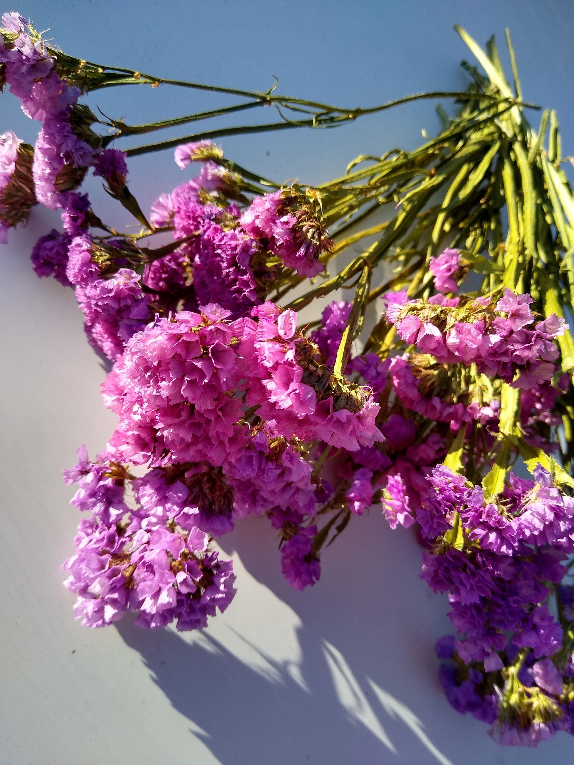 UK cerise pink statice bunch 25 stems, dried flower bunches, British home decor, bouquets,cerise pink dried flowers, DIY wedding flowers