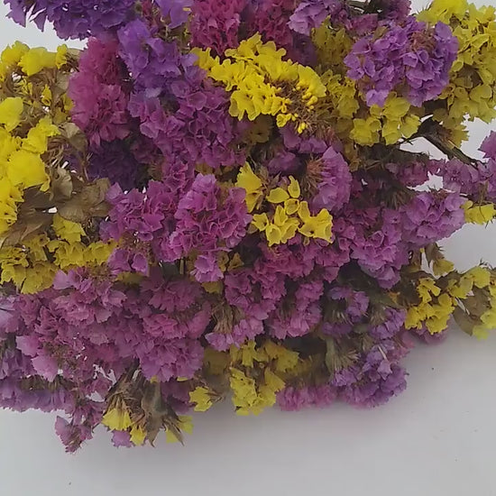 British dried limonium. Bright yellow & cerise, statice bunch, 30 stems from UK farm, wreaths, dried flowers bouquet, DIY wedding flowe