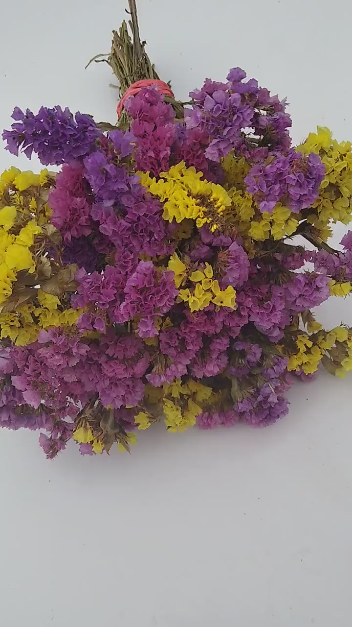 British dried limonium. Bright yellow & cerise, statice bunch, 30 stems from UK farm, wreaths, dried flowers bouquet, DIY wedding flowe