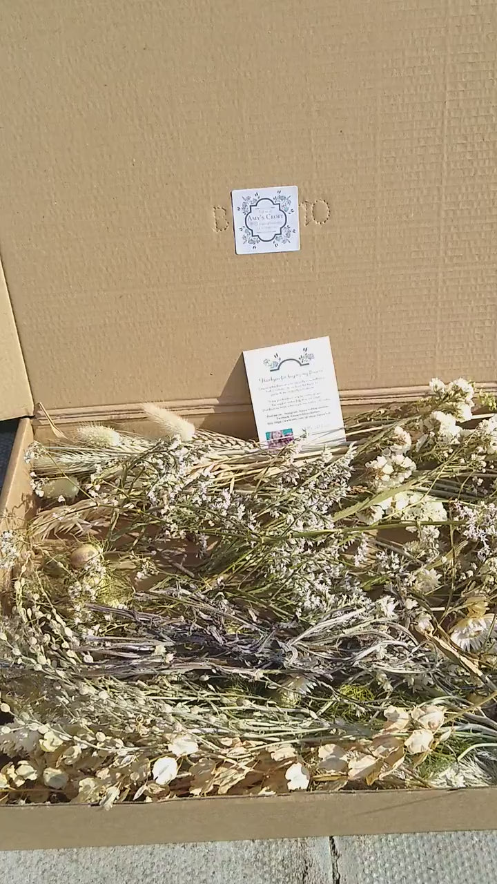 White & neutrals British dried flowers. 40-300 stems, gift, DIY flowers, bouquet. Craft box, UK farm, wedding flowers, dried flowers, bulk