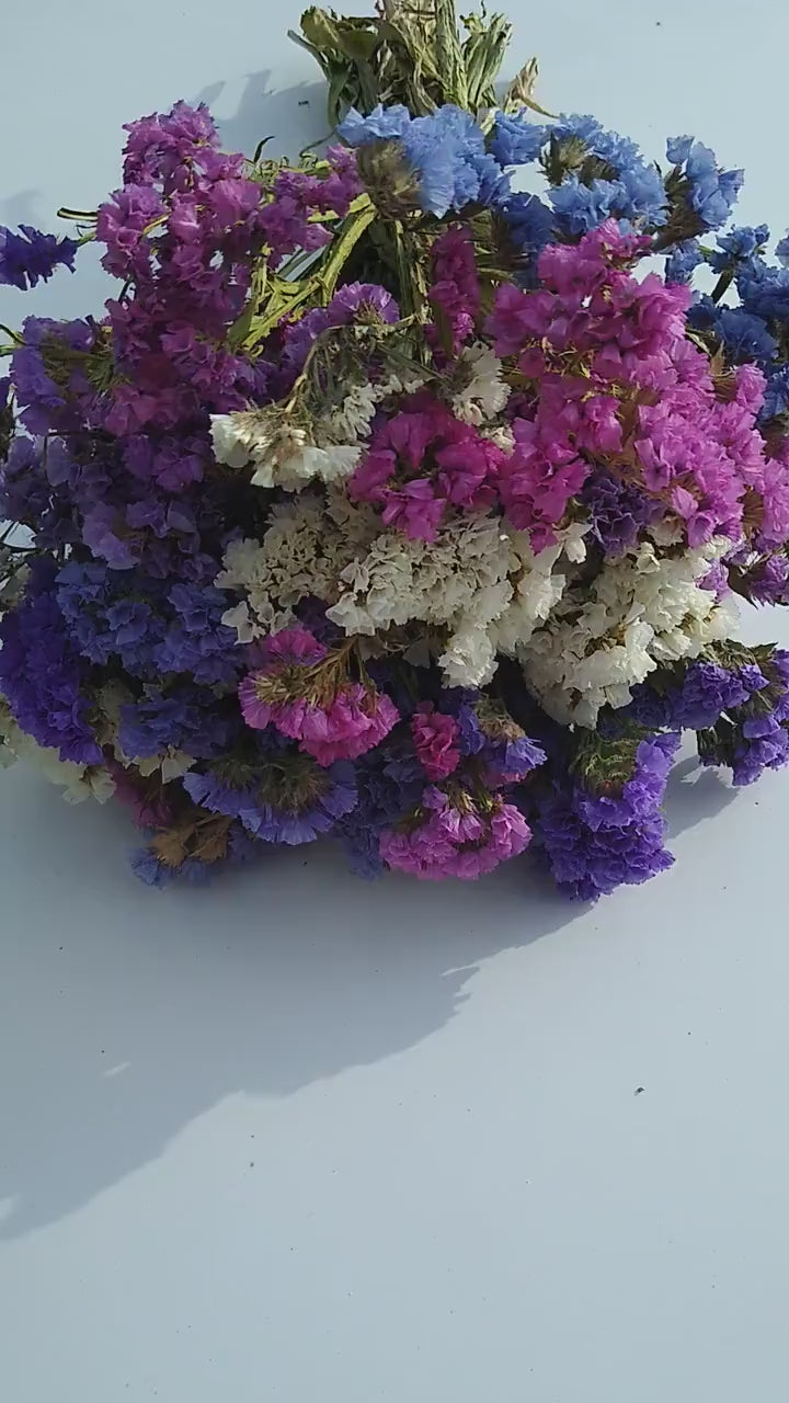 British Purple pink white statice bunch, dried flower 30 stems from UK farm, wreaths, dried flowers bouquet, DIY wedding flowers, limonium