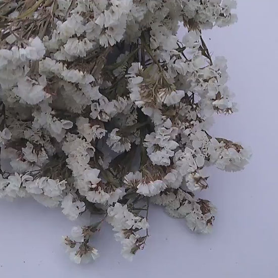 White UK statice bunch, 25 stems dried flower direct UK farm, home decor, bouquets, white neutral dried flowers, DIY wedding flowers, vase