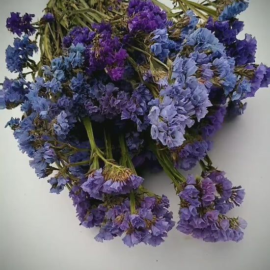 UK Purple statice bunch 25 stems, dried flower bunches, British home decor, bouquets, purple & blue dried flowers, DIY wedding flowers