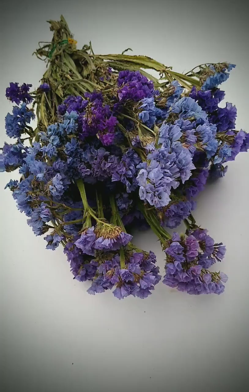 UK Purple statice bunch 25 stems, dried flower bunches, British home decor, bouquets, purple & blue dried flowers, DIY wedding flowers